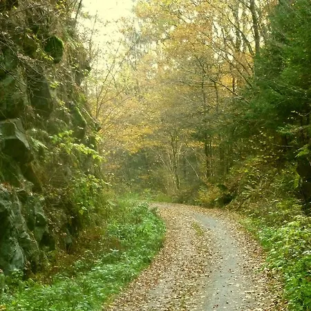Seidl's Ilztalfewo Witzmannsberg Exterior foto
