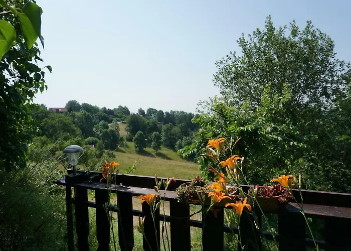 Seidl\'s Ilztalfewo